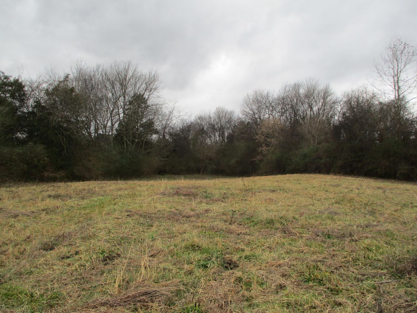 Highway 11 & County Rd 716: Highway 11 & County Rd 716, Riceville, TN 37370